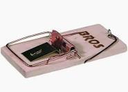 Bros Egérfogó fa 2 db-os 30 db/karton